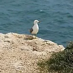 Jardim Paraiso אלבופיירה