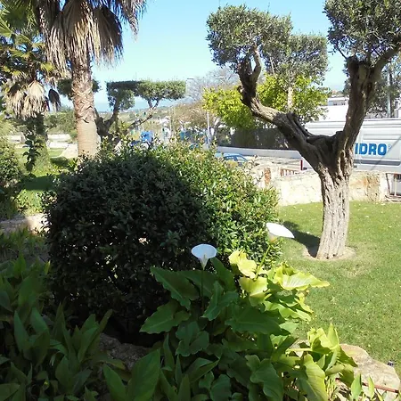 Jardim Paraiso 阿尔布费拉