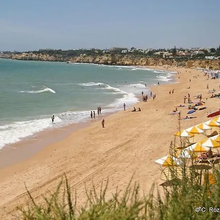 Jardim Paraiso 阿尔布费拉