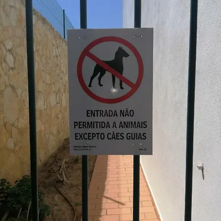 Jardim Paraiso 公寓 阿尔布费拉