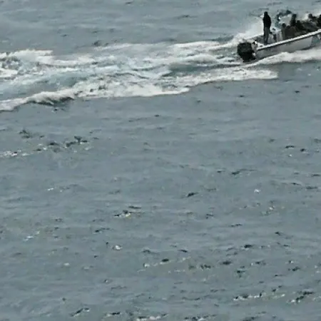 Jardim Paraiso 公寓 *